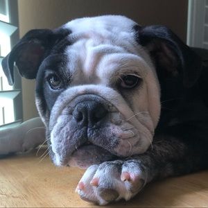 Meet your Posher, Catherine